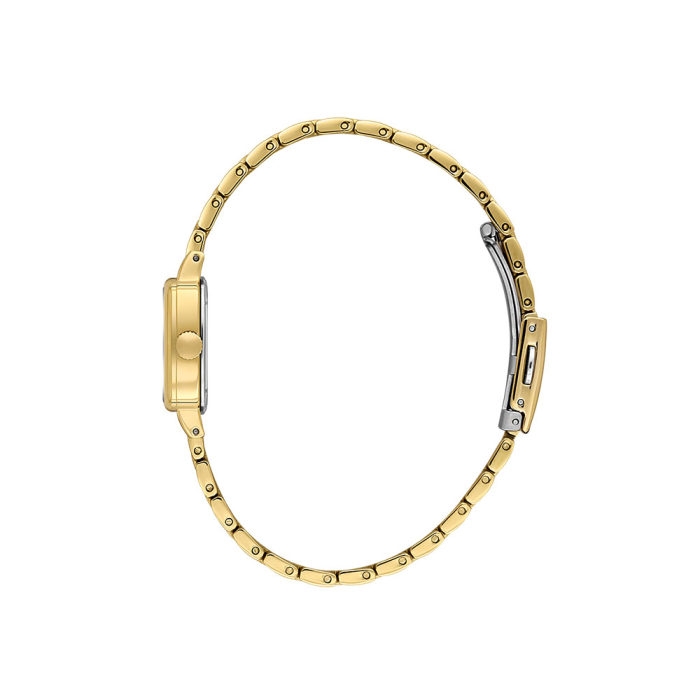 Ceas Daniel Klein Premium, DK.1.14102.2 [2]