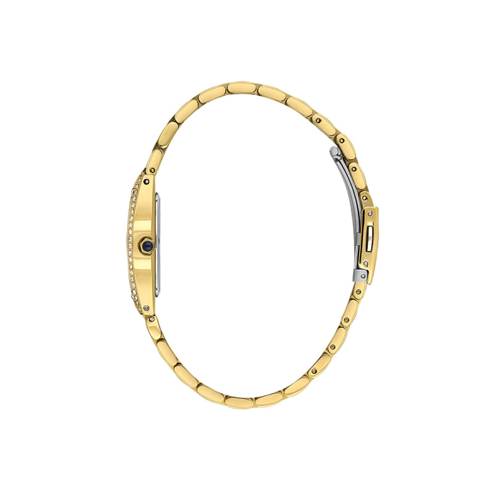 Ceas Daniel Klein Premium, DK.1.14106.2 [2]