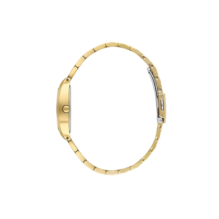 Ceas Daniel Klein Premium, DK.1.14107.3 [2]