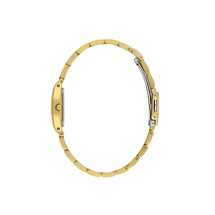 Ceas Daniel Klein Premium, DK.1.14111.2 [2]