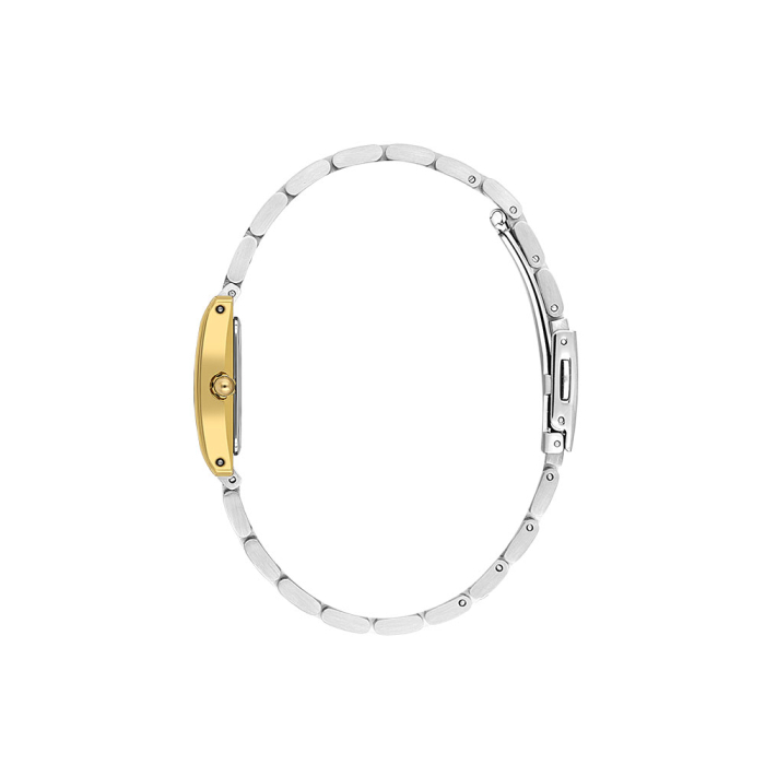 Ceas Daniel Klein Premium, DK.1.14111.4 [2]