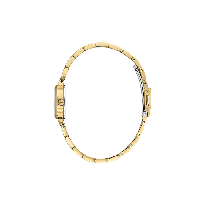 Ceas Daniel Klein Premium, DK.1.14117.3 [2]