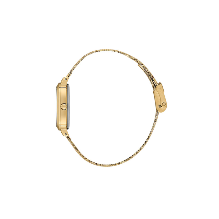 Ceas Daniel Klein Premium, DK.1.14125.2 [2]