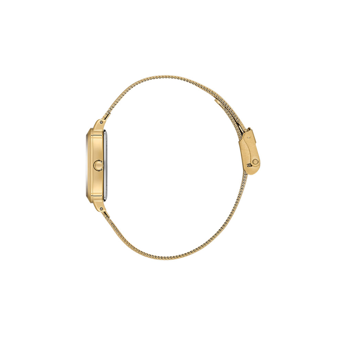 Ceas Daniel Klein Premium, DK.1.14125.3 [2]