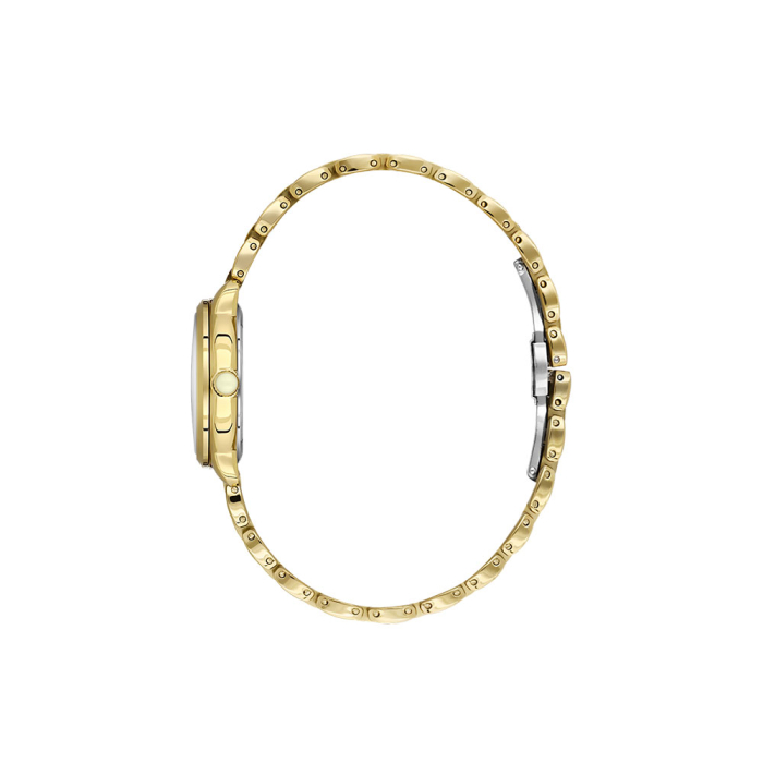 Ceas Daniel Klein Premium, DK.1.14126.2 [2]