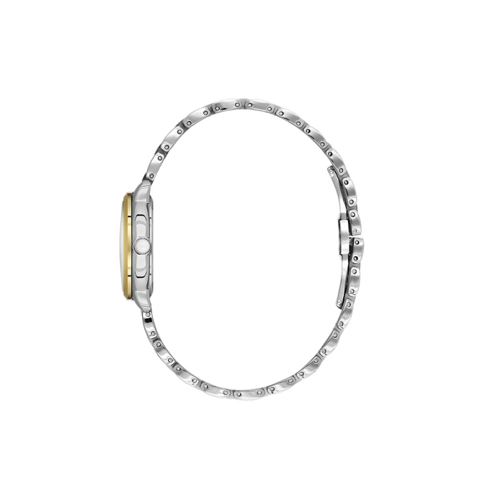 Ceas Daniel Klein Premium, DK.1.14126.4 [2]