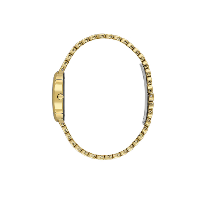 Ceas Daniel Klein Premium, DK.1.14130.3 [2]