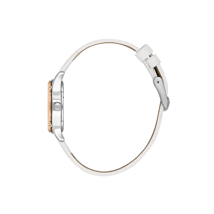 Ceas Daniel Klein Premium, DK.1.14270.3 [2]