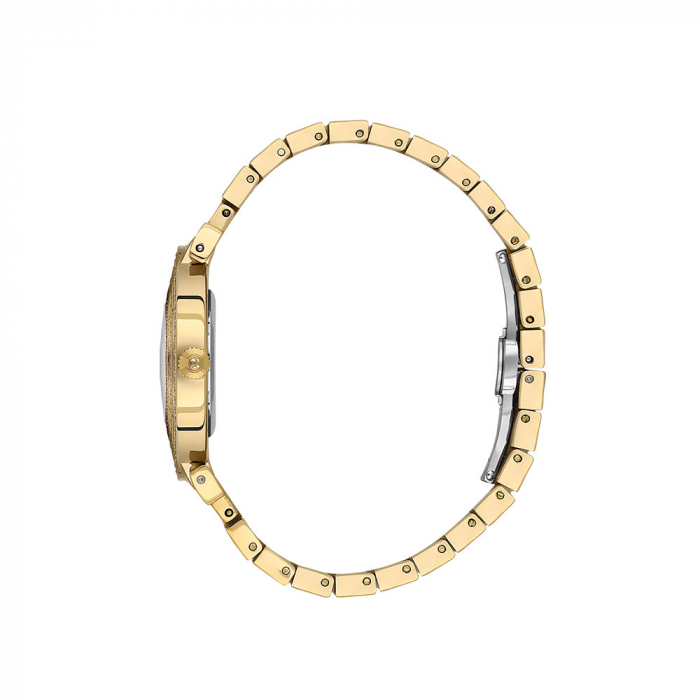 Ceas Freelook Charmant FL.1.10501.3 [2]