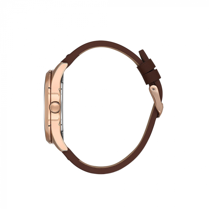 Ceas pentru barbati, Daniel Klein Premium, DK.1.13668.6 [2]