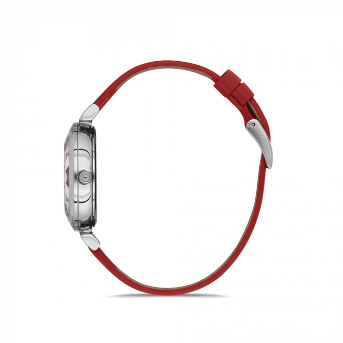 Ceas pentru dama, Daniel Klein Premium, DK.1.12691.7 [2]