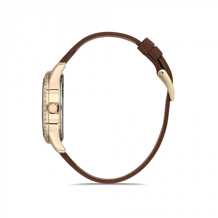 Ceas pentru dama, Daniel Klein Premium, DK.1.12696.3 [2]
