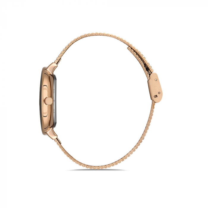 Ceas pentru dama, Daniel Klein Premium, DK.1.12899.2 [2]