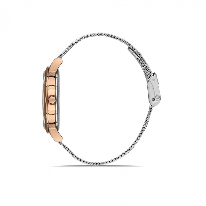 Ceas pentru dama, Daniel Klein Premium, DK.1.13235.3 [2]