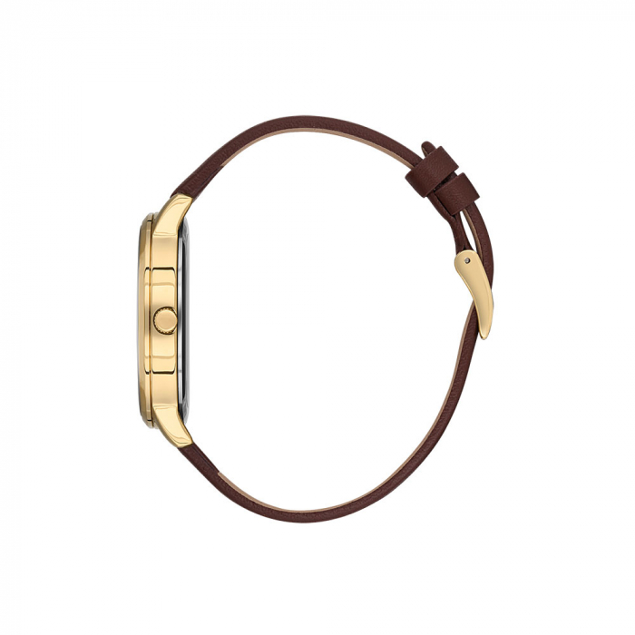 Ceas pentru dama, Daniel Klein Premium, DK.1.13459.3 [2]