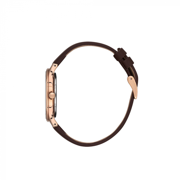 Ceas pentru dama, Daniel Klein Premium, DK.1.13471.5 [2]
