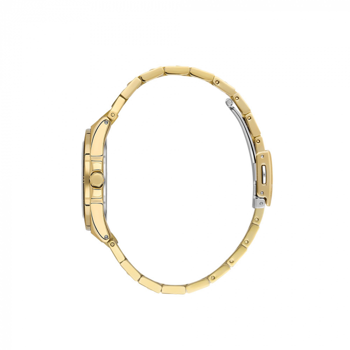 Ceas pentru dama, Daniel Klein Premium, DK.1.13585.3 [2]