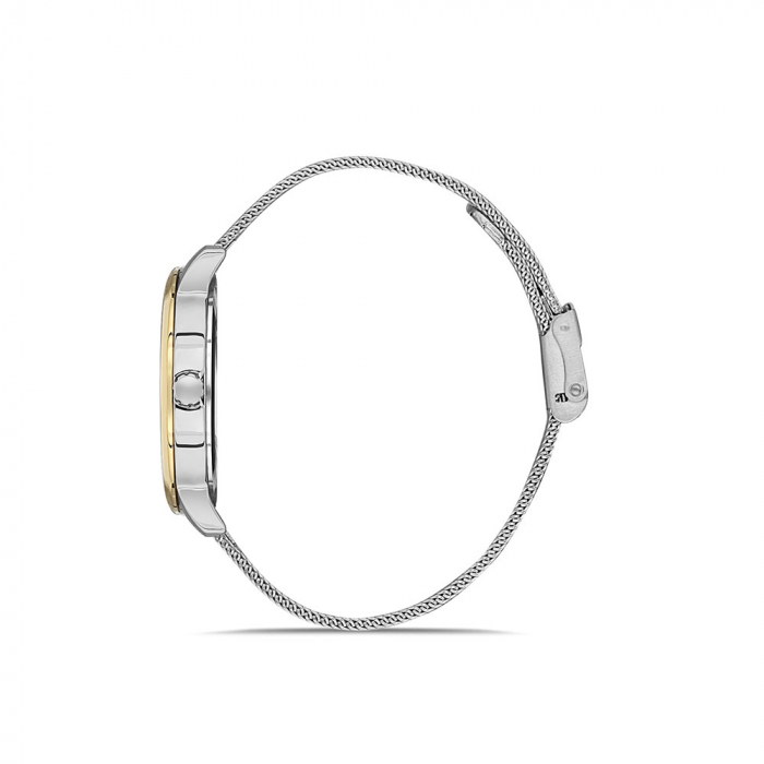 Ceas pentru dama, Daniel Klein Trendy, DK.1.13354.3 [2]