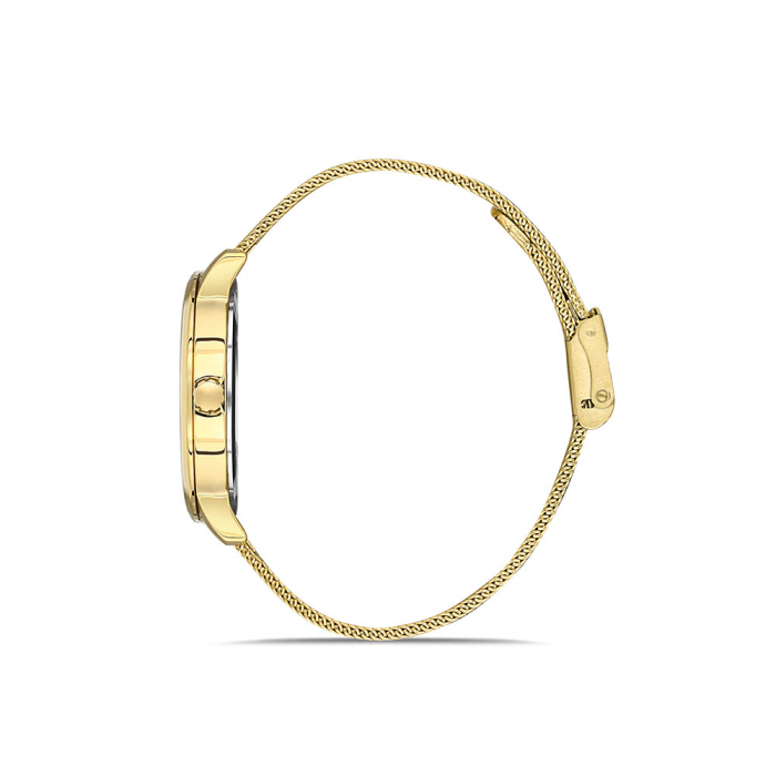 Ceas pentru dama, Daniel Klein Trendy, DK.1.13354.4 [2]