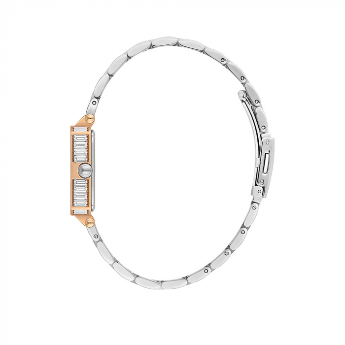 Ceas pentru dama, Freelook Charmant, FL.1.10461.5 [2]