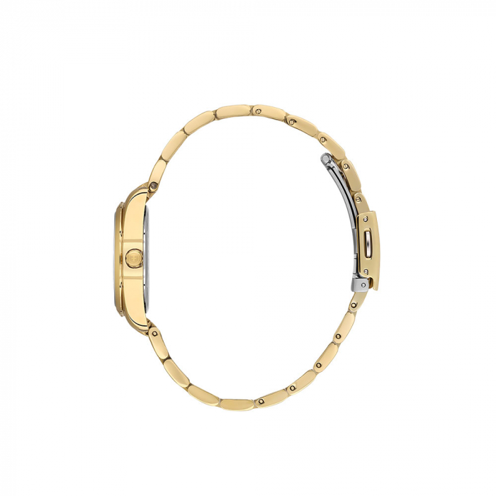 Ceas pentru dama, Freelook Diamond, FL.1.10462.2 [2]