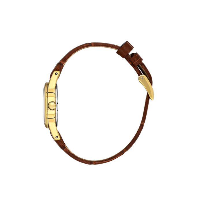 Daniel Klein Premium - Ceas Dama Quartz Cafeniu DK.1.14156-2 [2]