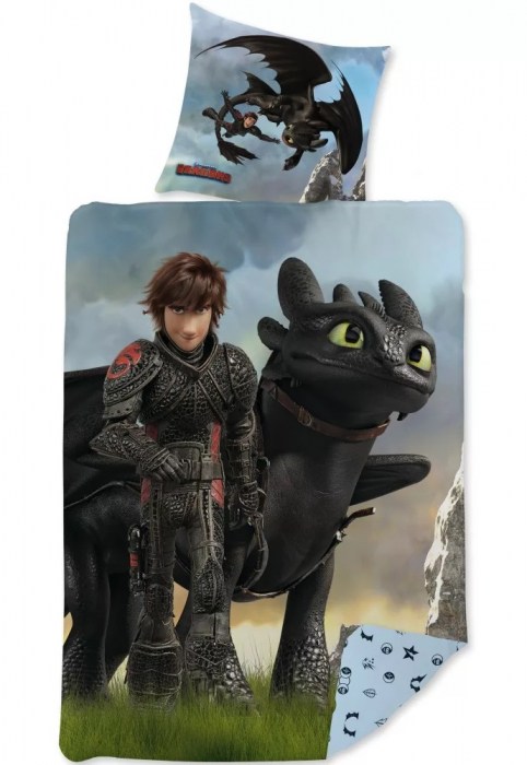 Lenjerie de pat pentru copii Dragons How To Train Your Dragon 140 200 cm, 70 90 cm