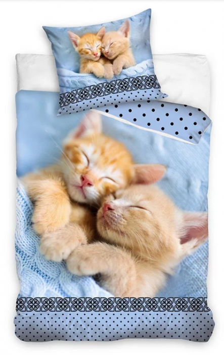Lenjerie de pat pentru copii Disney Cat the BEST 140×200 cm, 70×90 cm,100% bumbac, CBX211010NL [1]