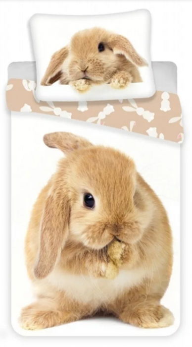 Lenjerie de pat pentru copii Iepuras Sweet Bunny 140 200 cm, 70 90 cm,100% bumbac, JFK017210