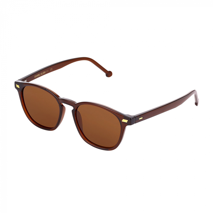 Ochelari de soare cafenii, pentru dama, Daniel Klein Trendy, DK3256-3 [2]