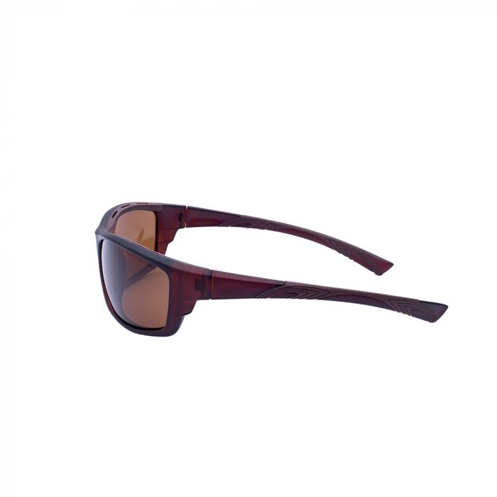 Ochelari de soare maro, pentru barbati, Daniel Klein Premium, DK3140-4 [2]