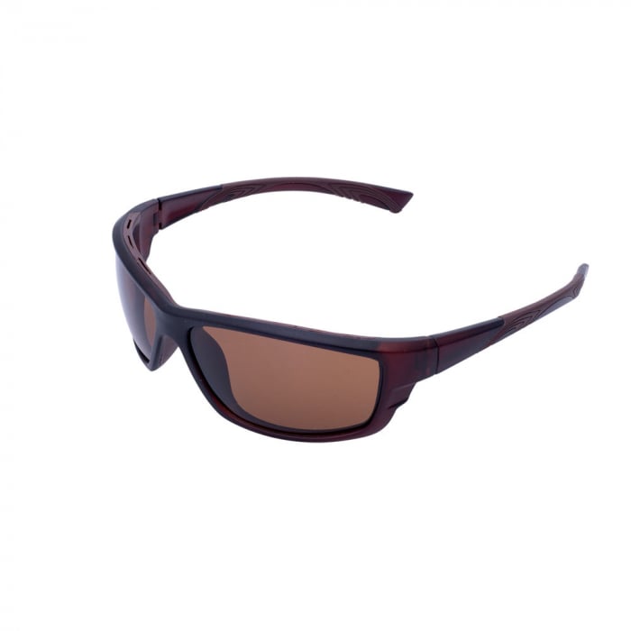 Ochelari de soare maro, pentru barbati, Daniel Klein Premium, DK3140-6