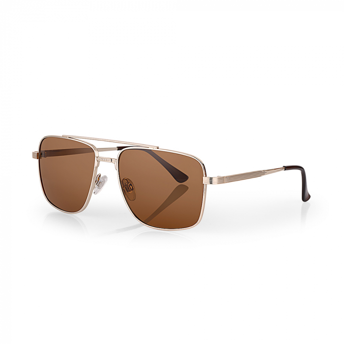 Ochelari de soare maro, pentru barbati, Daniel Klein Sunglasses, DK3258-3 [1]