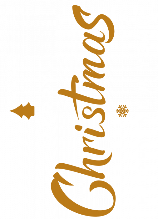 Set de tricouri  personalizate de cuplu cu tematica de Craciun,  Merry Christmas  1347black [2]