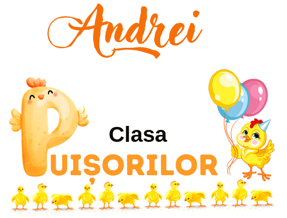 Tricou personalizat pentru absolvire  Grupa puisorilor cu text sau poze ABS1027 [2]