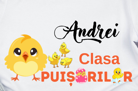 Tricou personalizat pentru absolvire  Grupa puisorilor cu text sau poze ABS1028 [3]