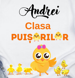 Tricou personalizat pentru absolvire  Grupa puisorilor cu text sau poze ABS1029 [3]