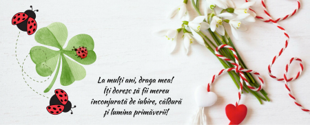 Cană personalizată martisor pentru Mama de 8 Martie SFM2025 [1]