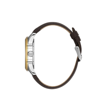 Ceas Daniel Klein Arcadia DK.6.14086.4 [1]