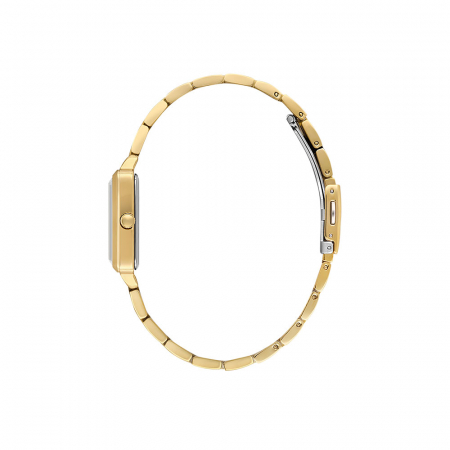 Ceas Daniel Klein Premium DK.1.13941.3 [1]