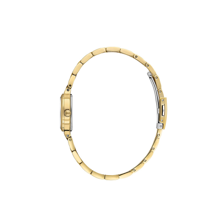 Ceas Daniel Klein Premium, DK.1.14117.3 [1]