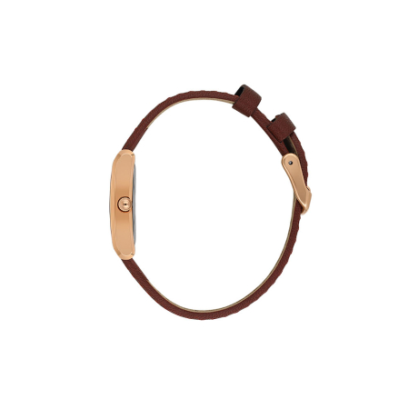 Ceas Daniel Klein Premium, DK.1.14124.4 [1]