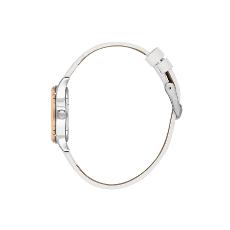 Ceas Daniel Klein Premium, DK.1.14270.3 [1]