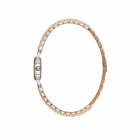 Ceas Freelook Charmant FL.4.10010.5 [1]