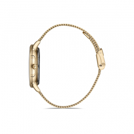 Ceas pentru dama, Daniel Klein Premium, DK.1.12834.3 [1]