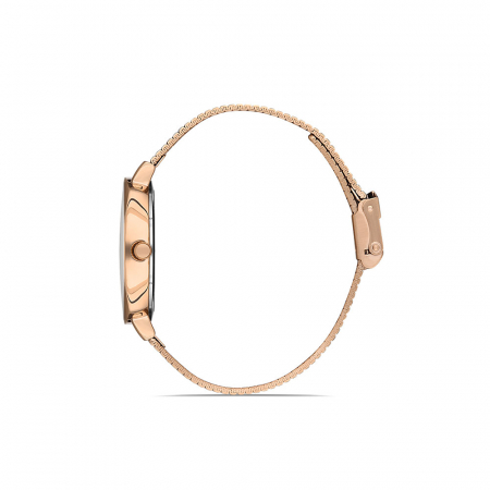 Ceas pentru dama, Daniel Klein Premium, DK.1.13151.2 [1]