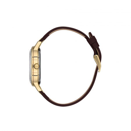 Ceas pentru dama, Daniel Klein Premium, DK.1.13458.5 [1]
