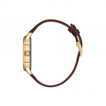 Ceas pentru dama, Daniel Klein Premium, DK.1.13459.3 [1]