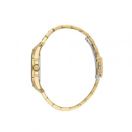 Ceas pentru dama, Daniel Klein Premium, DK.1.13585.3 [1]