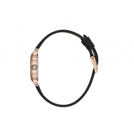 Ceas pentru dama, Daniel Klein Premium, DK.1.13780.6 [1]
